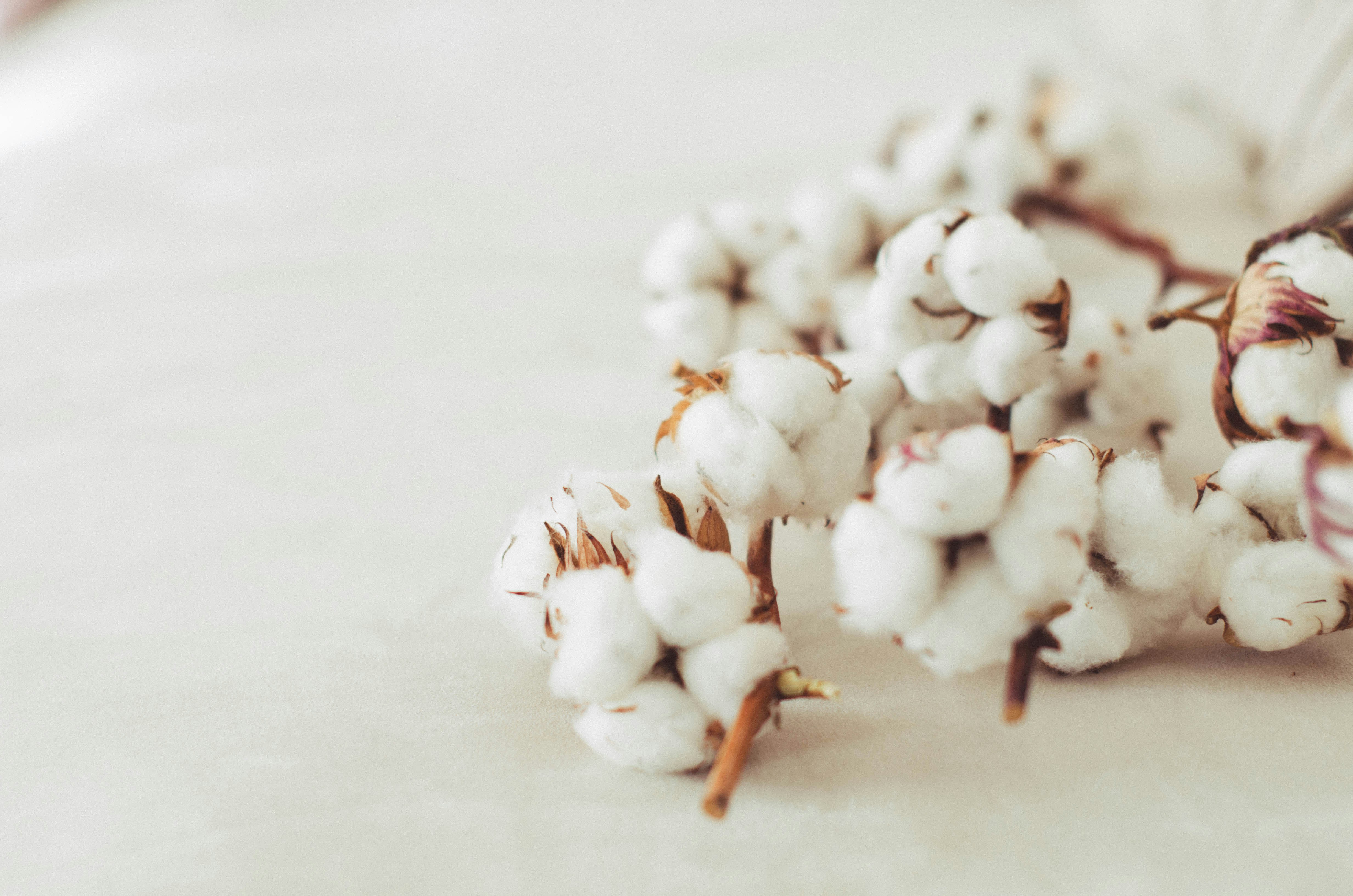 nika-benedictova-LoNfl2iIMK0-unsplash