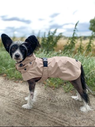Hledáš nestrakatou a elegantní pláštěnku pro pejska? Tak tady je. Barka Oat Milk. 🌾🥛Nepromokavá, prodyšná, lehká, pro...