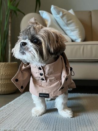 Tak tento fešák si vyžádal naši pláštěnku, protože se stěhuje do Amsterdamu. 👀🤍🤭 A tam co…? Leje 🌧️ #dogofogo #barka