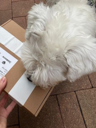 Máte ty naše balíčky rádi 🤍 A naší největší odměnou je každá jedna fotka vašich pejsků v Dogo Fogo. Každý obleček vám...