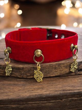 Ready for the pawlidays 🎄✨ Červený samet, zlaté vločky a pejsek, který září víc než vánoční světýlka. ✨ Limitovaná edice...